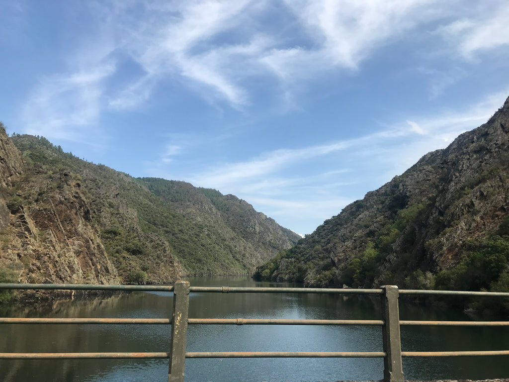 Spain and Portugal Road Trip, Part Two- Two days, two valleys, two babies, two wineries, one border, one puncture and a ton of custard based pastries...