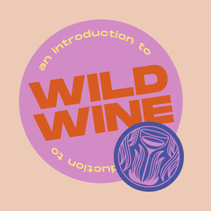 An Introduction to Wild Wine logo in bright contrasting colours